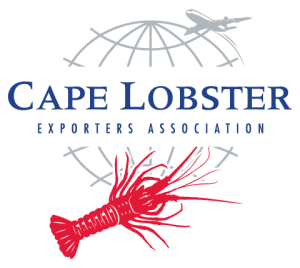Cape-Lobster-Web-Graphics-032