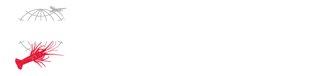 Cape Lobster Exporter Association